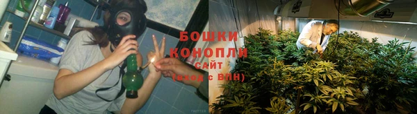прущие крисы Вязьма