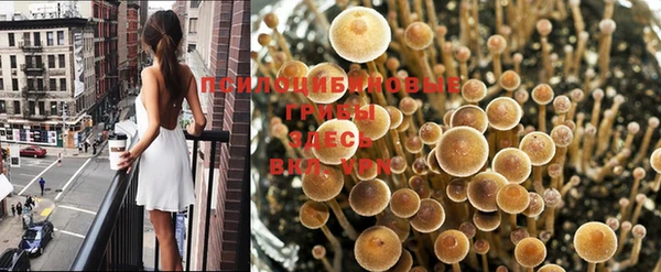мескалин Вязники
