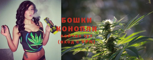 прущие крисы Вязьма