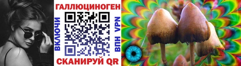 Псилоцибиновые грибы GOLDEN TEACHER Пересвет